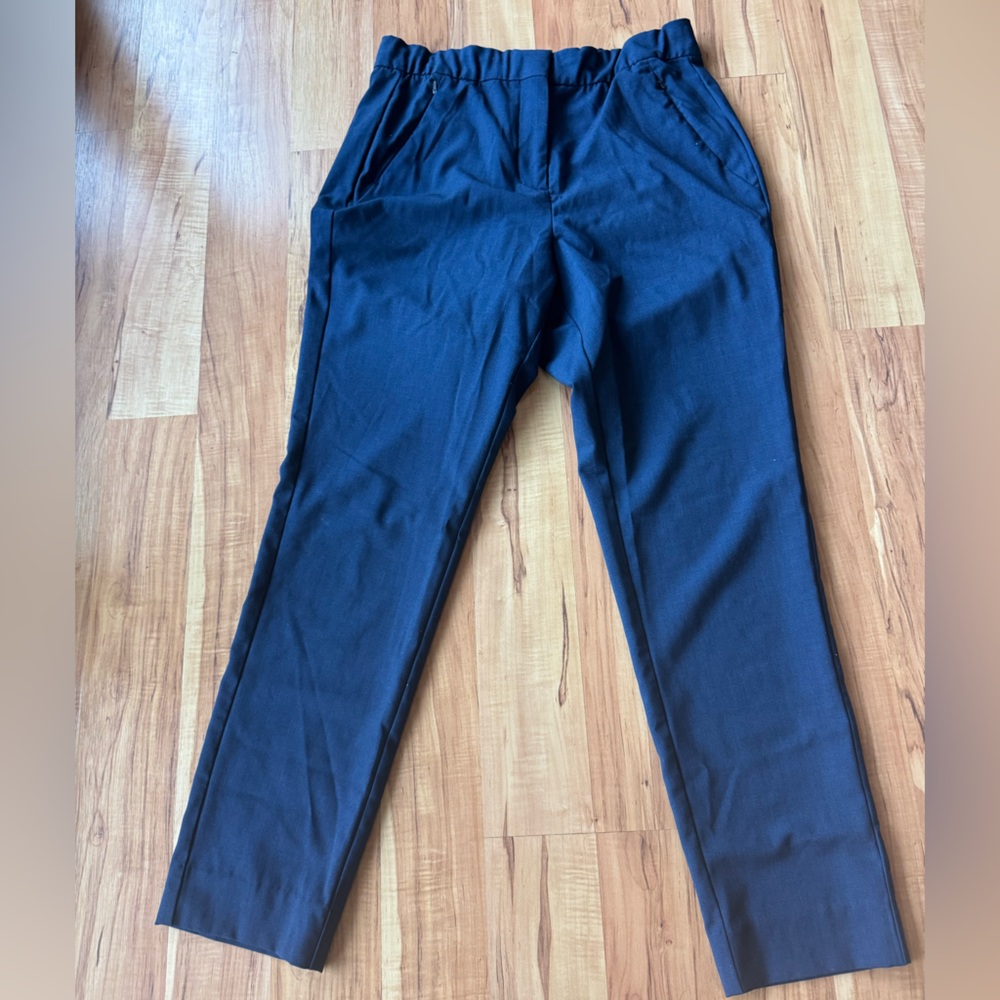 Ministry of Supply navy ankle length pants